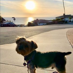 Meet your Posher, Deborah